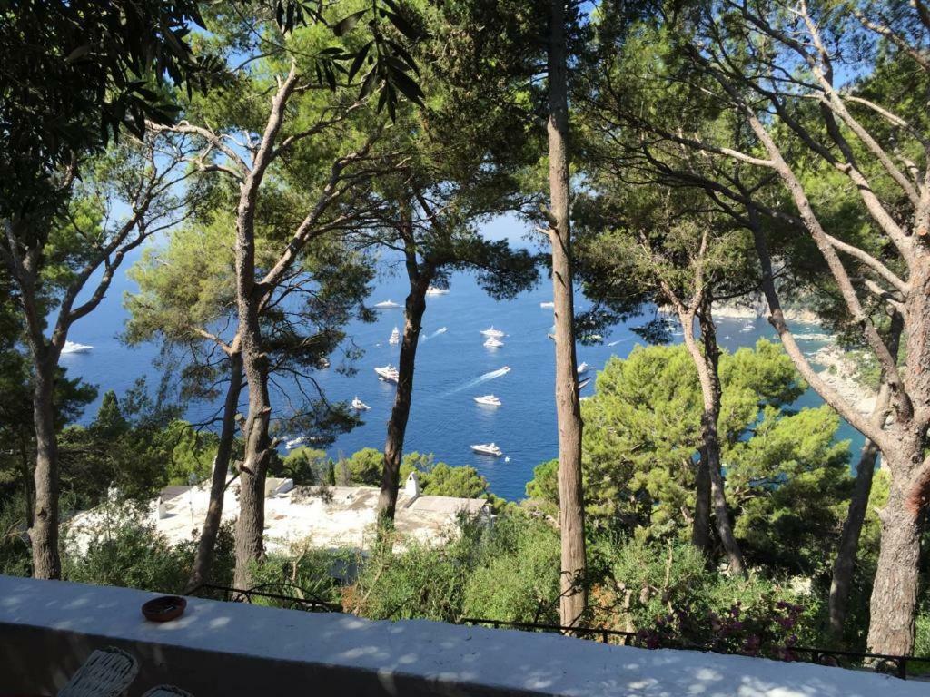 Villa Guya Capri Kültér fotó