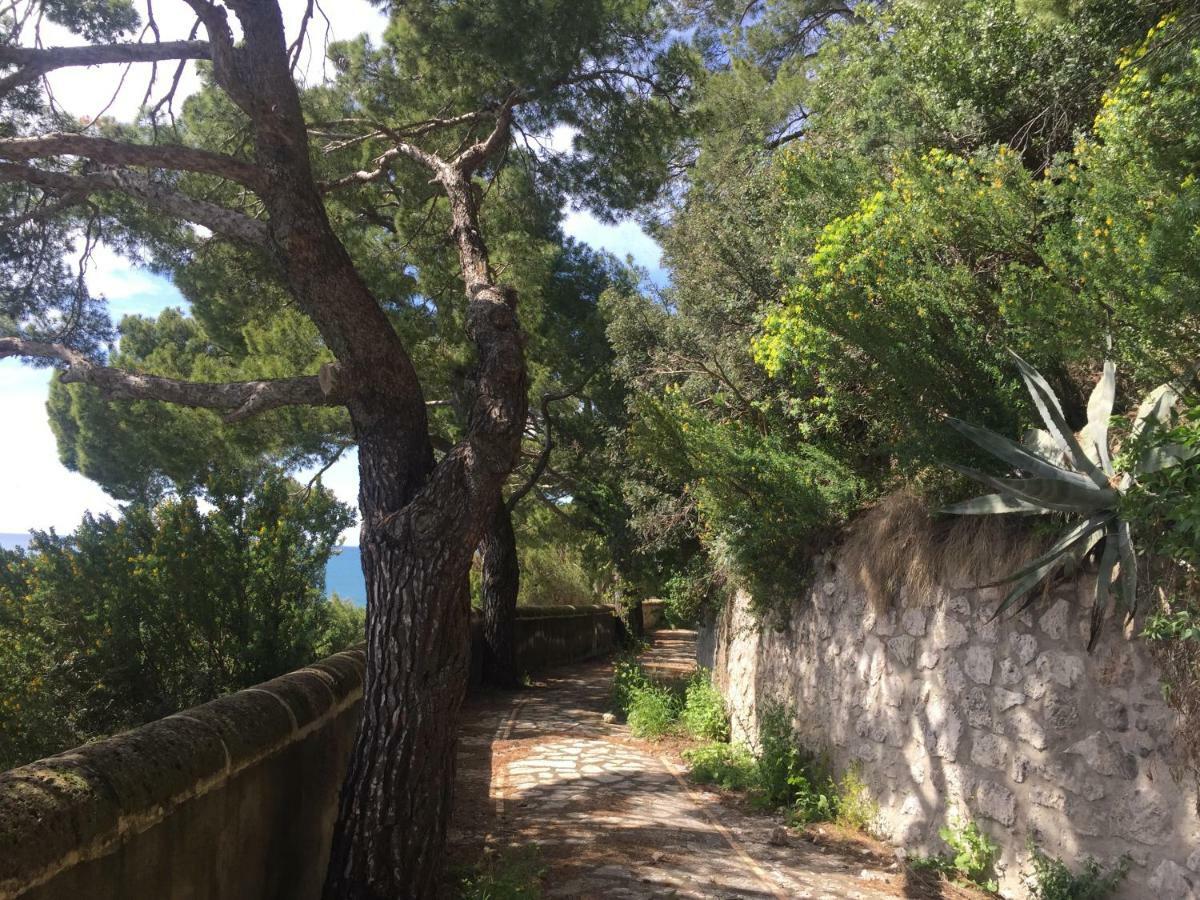 Villa Guya Capri Kültér fotó